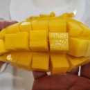 무지개마켓 이미지