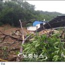 화곡천 이미지