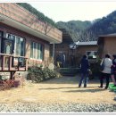 청암예다원 이미지