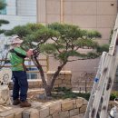 (주)송림조경