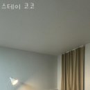 스테이 코코 이미지