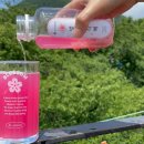 날리벚꽃장 이미지