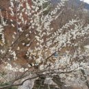 서동민박 이미지