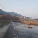 야루정