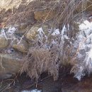 옥종불소유황천 이미지