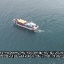 보호구역 내에서 돌고래 선박관광이 여전히 이뤄진다 이미지