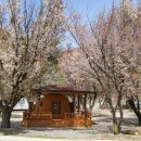 돌배황토 이미지