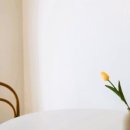 여전히 제주 이미지