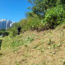 하신2리 이미지