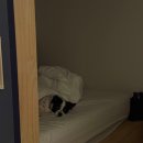 피에스타펜션 이미지