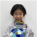 건강한 태권도장 이미지