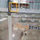 개구멍 이미지