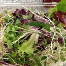 김여사밥사랑 이미지