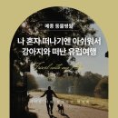 메종동물병원 이미지