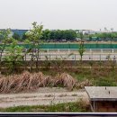 고양화전15 이미지