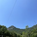 벤자민 | 논산 벤자민펜션&amp;글램핑