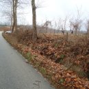 원삼두창분교 이미지