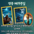 2026-08-09연중 제19주일＜저더러 물 위로 걸어오라고 명령하십시오.＞ 이미지