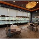 도그마루 이미지