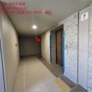 강남-189 이미지