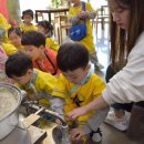 꿀벌나라테마공원 이미지