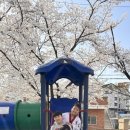 전주조촌초등학교 이미지