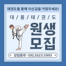 청명태권도장 이미지