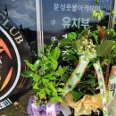 비바풋살클럽 네이버블로그