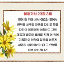 2024년 12월 11일(수) 수요예배 열왕기하 23장 1~9절 회개에 합당한 실천을 하려면 이미지