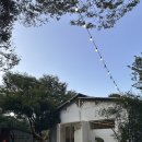 아름다운밀양농장 | 경남 밀양 아이와 함께 가기 좋은 카페 ‘밀양 9 MIRYANG9‘