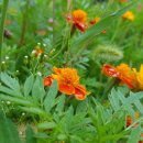 서광자연 이미지