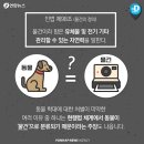 명광전기 이미지