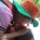 양곡어린이집 이미지