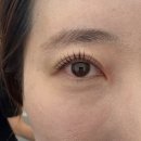 대구도시철도3호선 대봉교역 | 대구 속눈썹 펌 연장 오래가는 티나스타일 대봉점 솔직후기