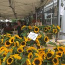 [영국워홀/YMS]190712 Columbia Road Flower Market / Brick Lane Sunday Market (D+48)
