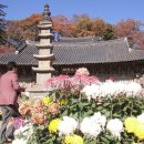 더공주