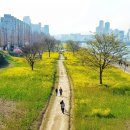 똘레랑스 이미지