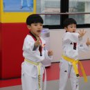 경희대 에이스태권도 이미지