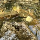 명암539펜션오토캠핑장 이미지