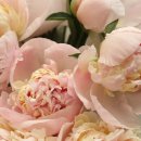 재미있는 홈베이킹 이미지