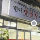 현이양이 이미지