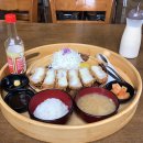 제주 세화 맛집과 카페들☕️: 호자, 아스론가, 명천해장국, 브라보 커피웍스, 슈가바당