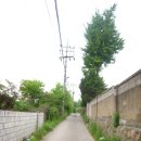 오동목장 이미지