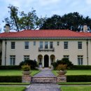 디지털사자 이미지