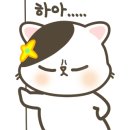 홍미불닭발 네이버블로그