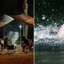 봉화남성 이미지