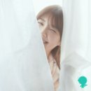 이그나이트