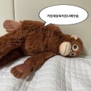 폴영어학원 | YBM 서면 폴린 토익 스피킹 수강후기