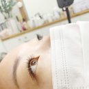 센트럴 하이브리드 | 둔산동속눈썹 둔산뷰티쌀롱 기분전환 다녀왔어요:)
