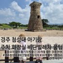 쌍둥이첨성대 | 경주 첨성대 아기랑 유모차 없이 성공 30개월 둥이 주차장 화장실 비단벌레차 꿀팁